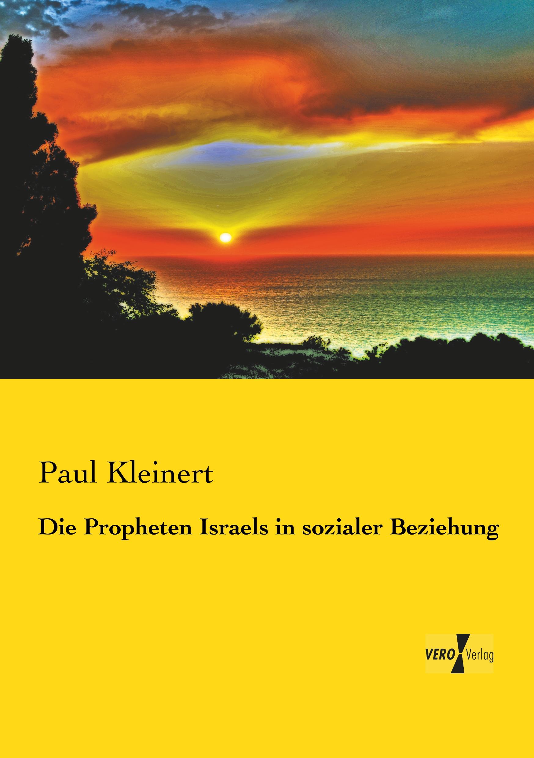 Vorderes Coverbild Die Propheten Israels in sozialer Beziehung