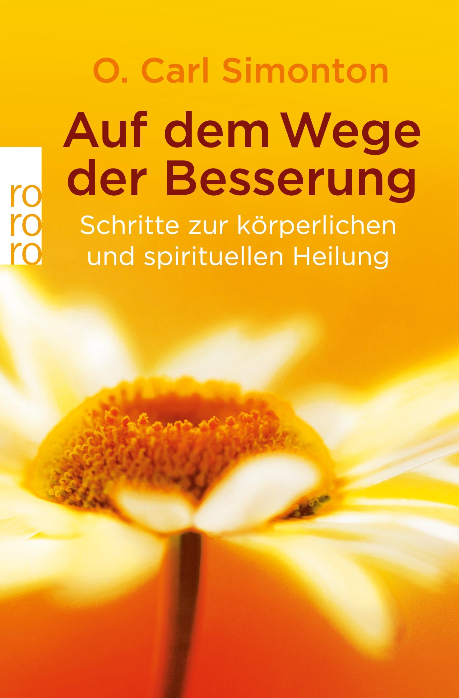 Vorderes Coverbild Auf dem Wege der Besserung