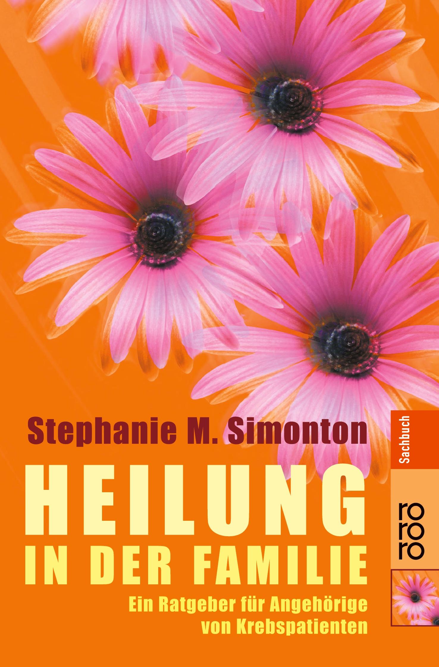 Vorderes Coverbild Heilung in der Familie