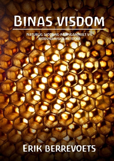 Vorderes Coverbild Binas Visdom