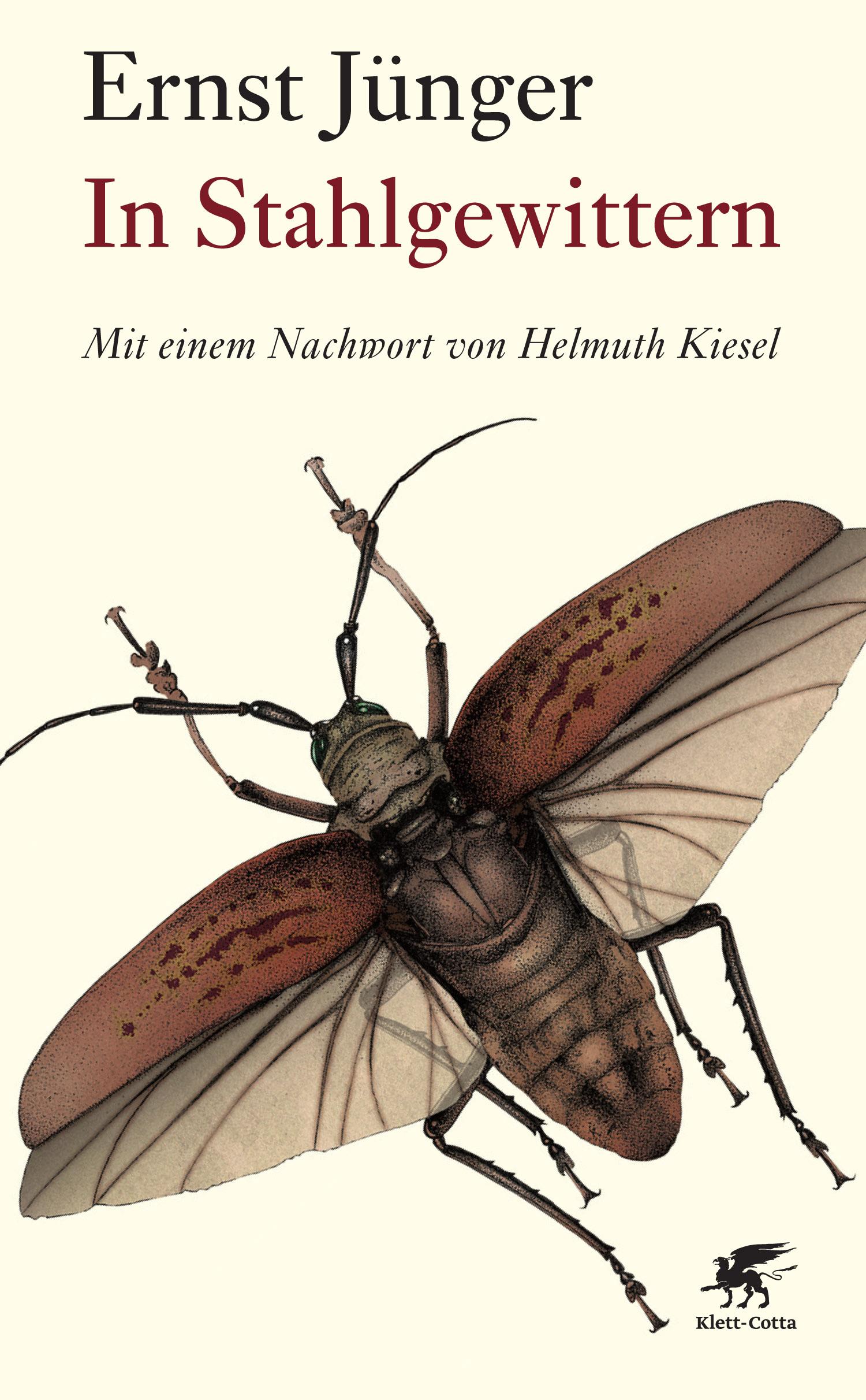 Vorderes Coverbild In Stahlgewittern