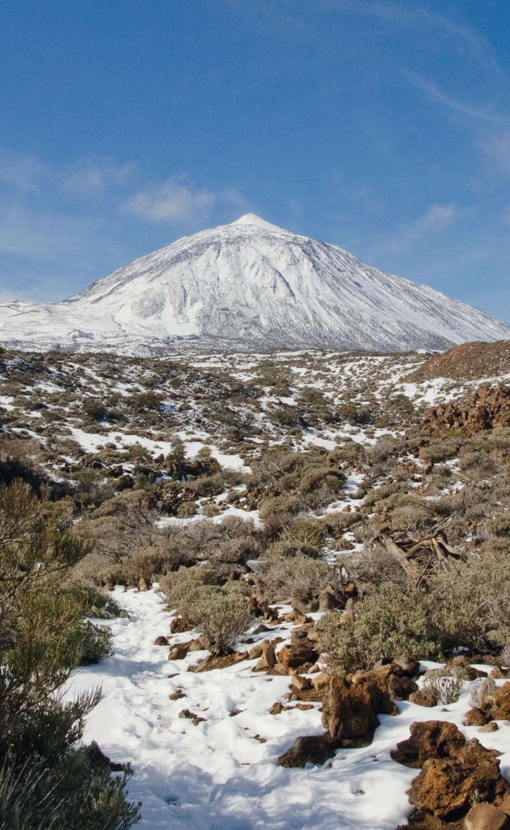 Beispielinhalt (Bild) Teneriffa - Blaue Finken - Blütenpracht