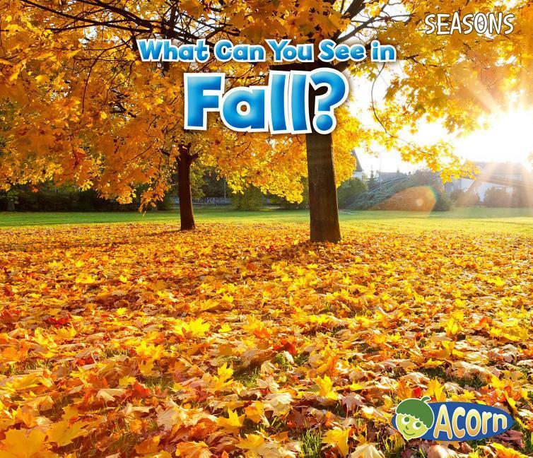 Vorderes Coverbild What Can You See in Fall?