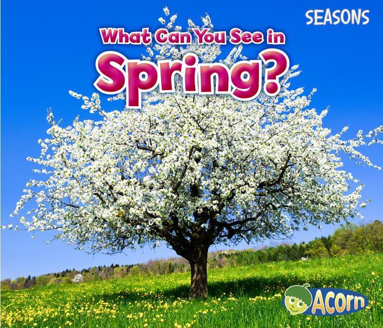 Vorderes Coverbild What Can You See in Spring?