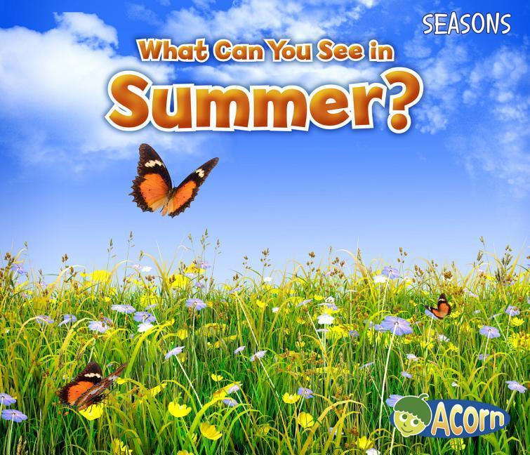 Vorderes Coverbild What Can You See in Summer?