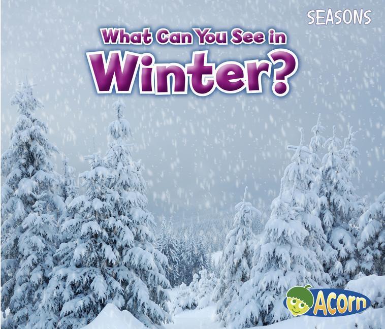 Vorderes Coverbild What Can You See in Winter?