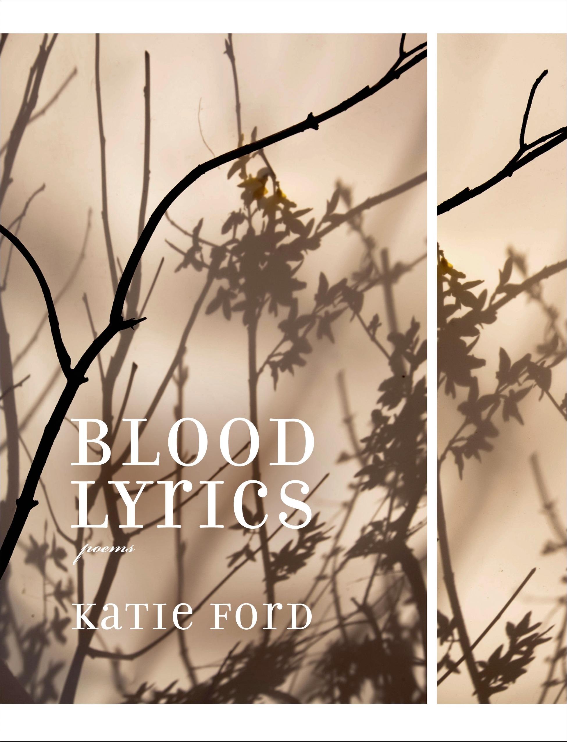 Vorderes Coverbild Blood Lyrics