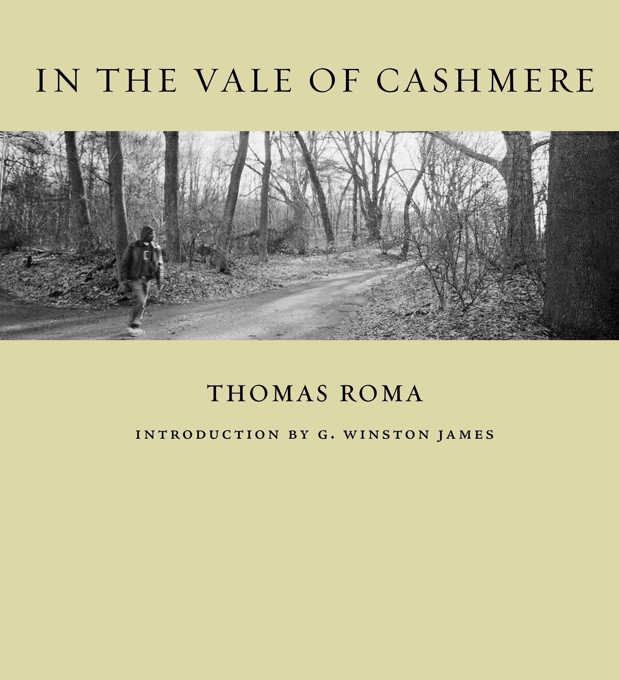 Vorderes Coverbild In the Vale of Cashmere