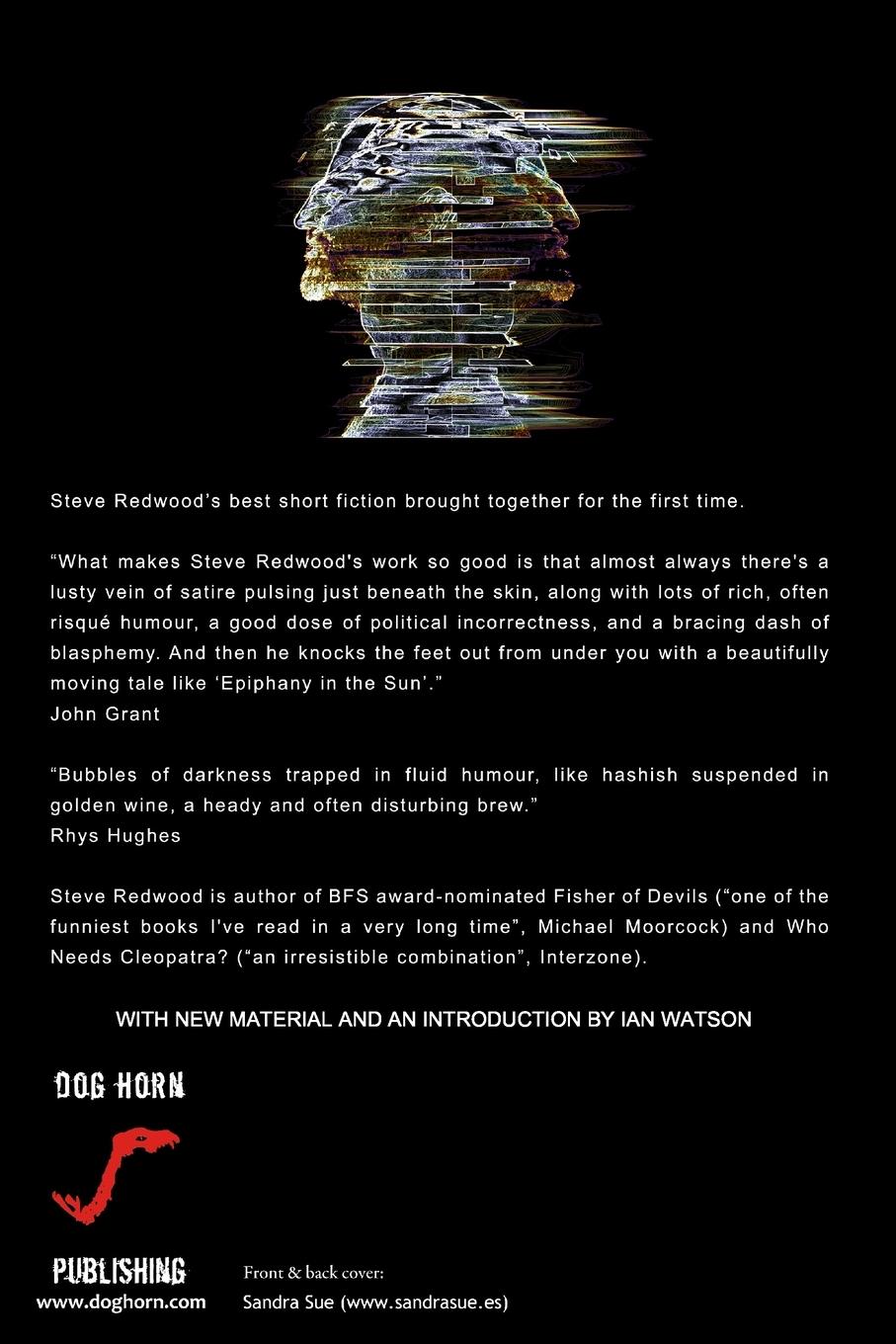 Rückseitencover Broken Symmetries