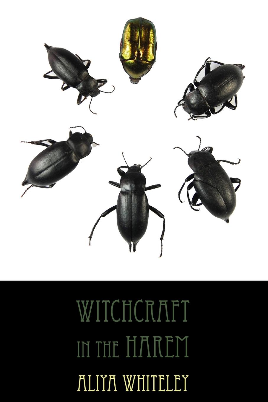 Vorderes Coverbild Witchcraft in the Harem