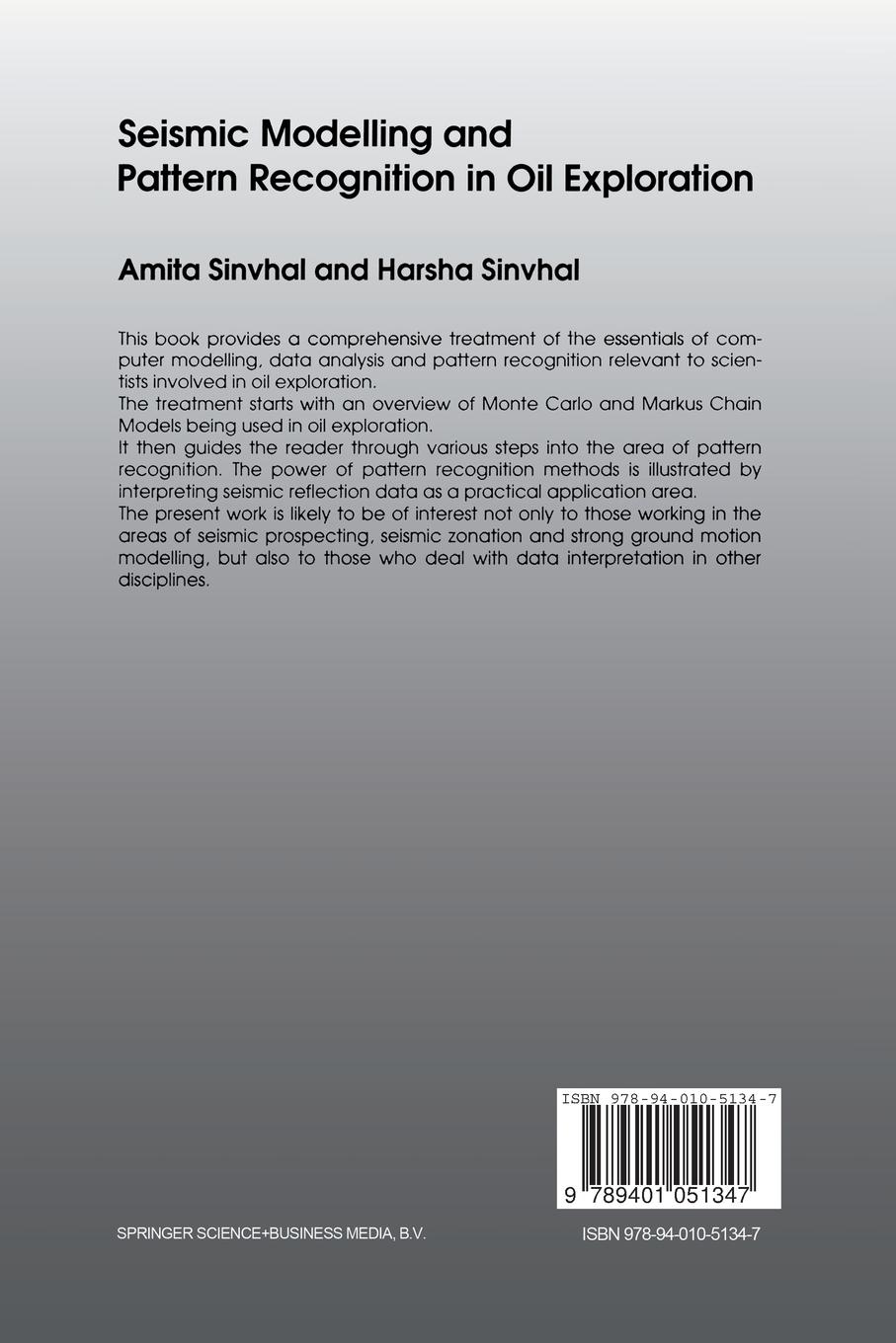 Rückseitencover Seismic Modelling and Pattern Recognition in Oil Exploration
