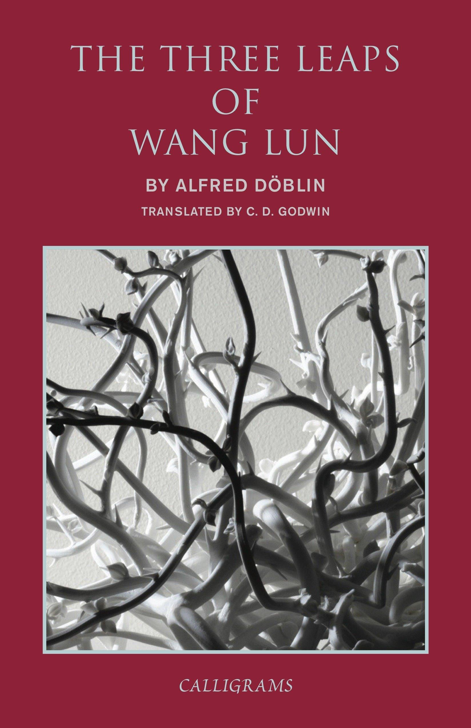 Vorderes Coverbild The Three Leaps of Wang Lun