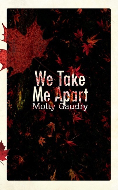 Vorderes Coverbild We Take Me Apart