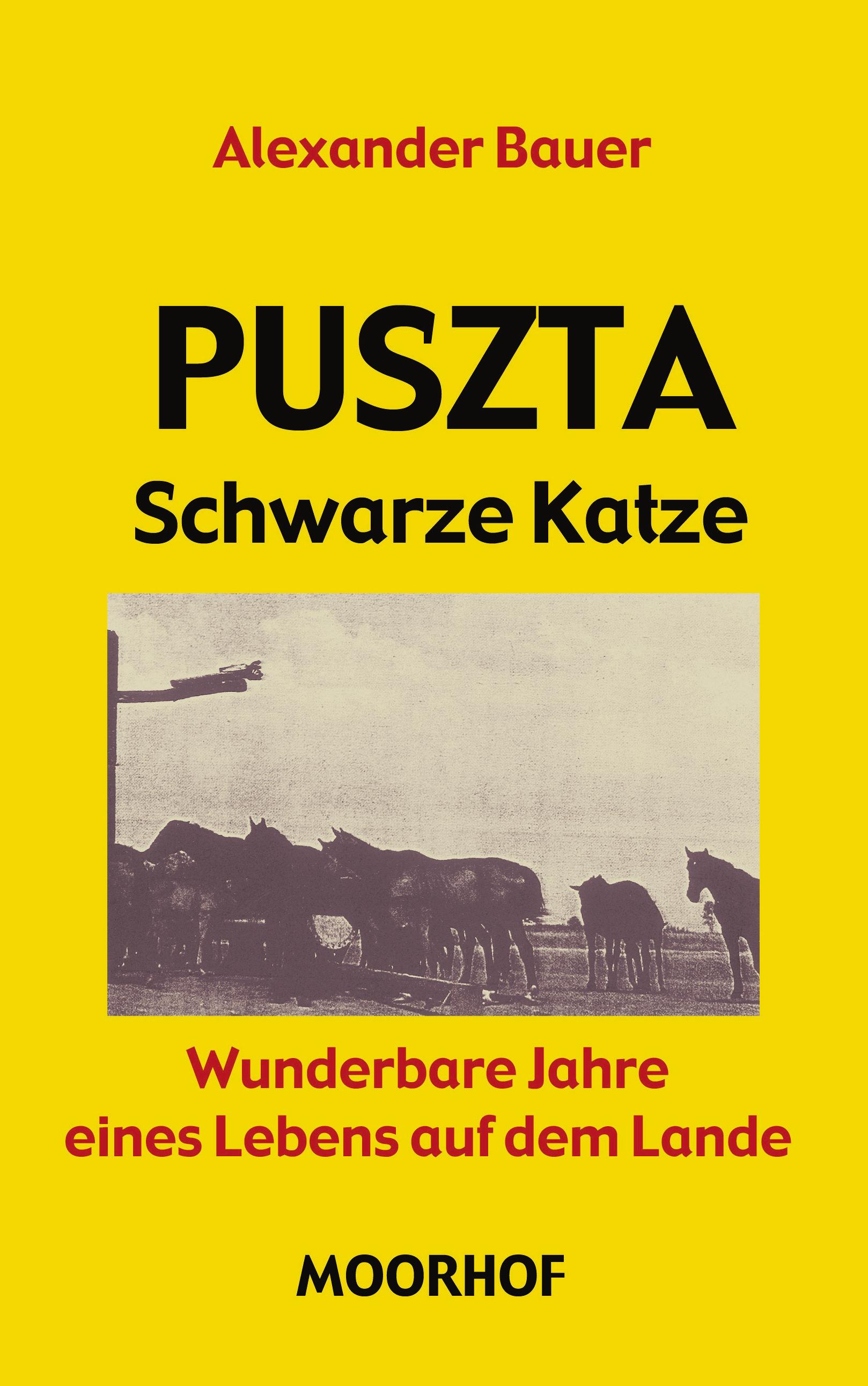 Vorderes Coverbild Puszta - Schwarze Katze