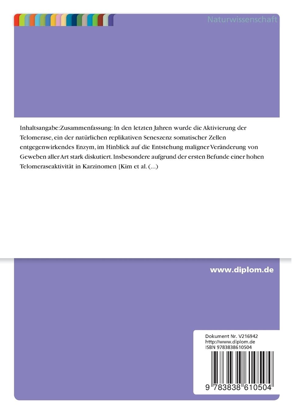 Rückseitencover Untersuchungen zur Expression der Telomeraseuntereinheiten hTERC und hTERT in normalen und neoplastischem Nierengewebe