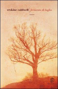 Vorderes Coverbild Fermento di luglio