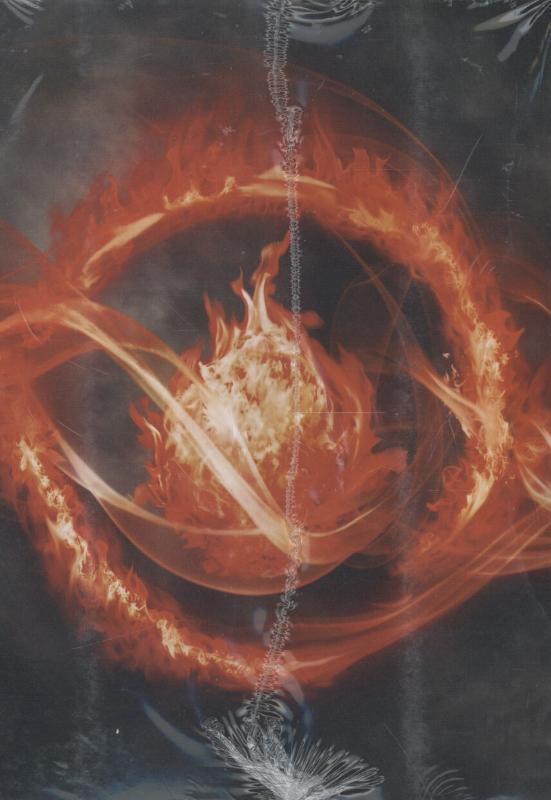 Rückseitencover Divergent Series Four-Book Hardcover Gift Set