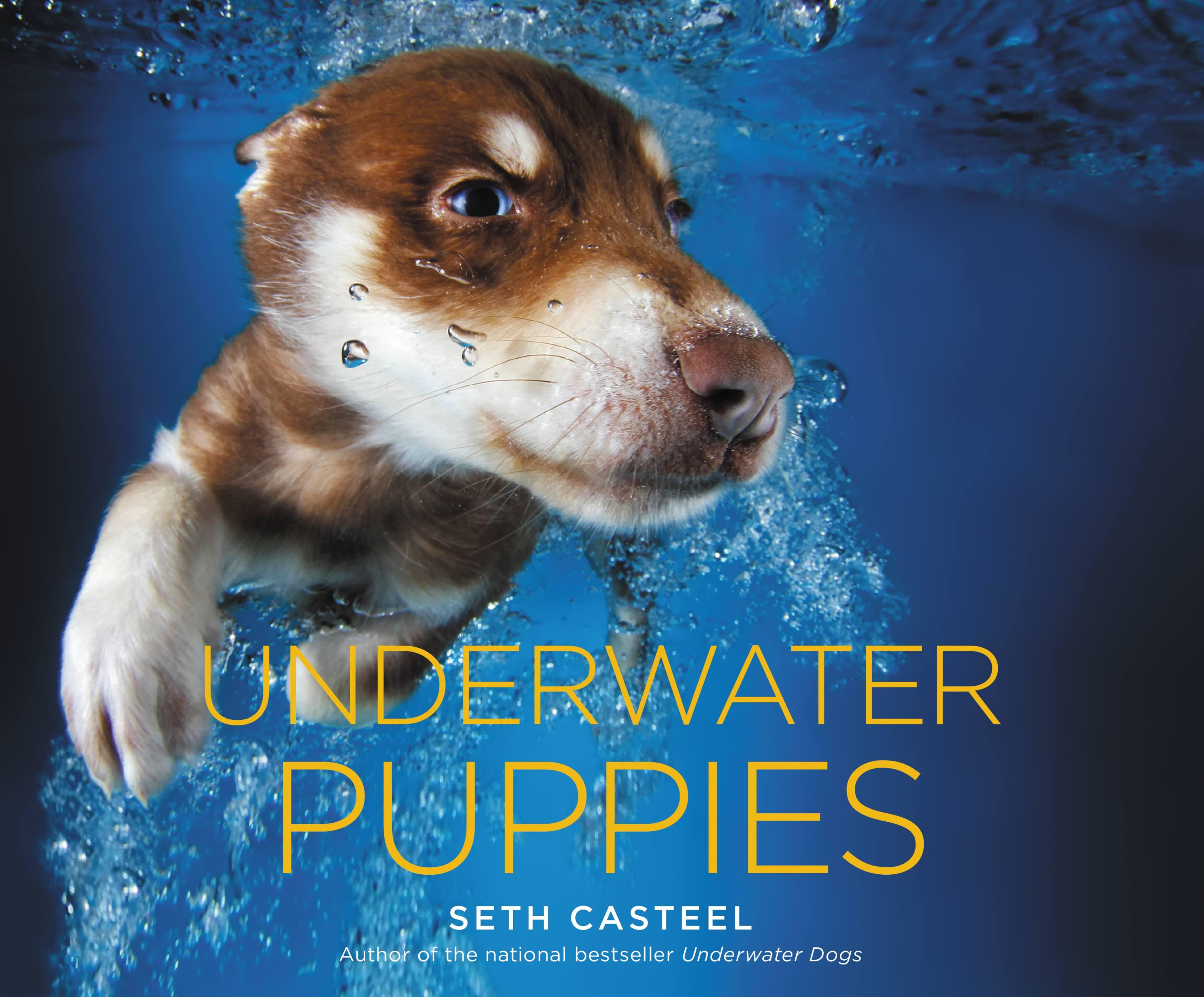Vorderes Coverbild Underwater Puppies