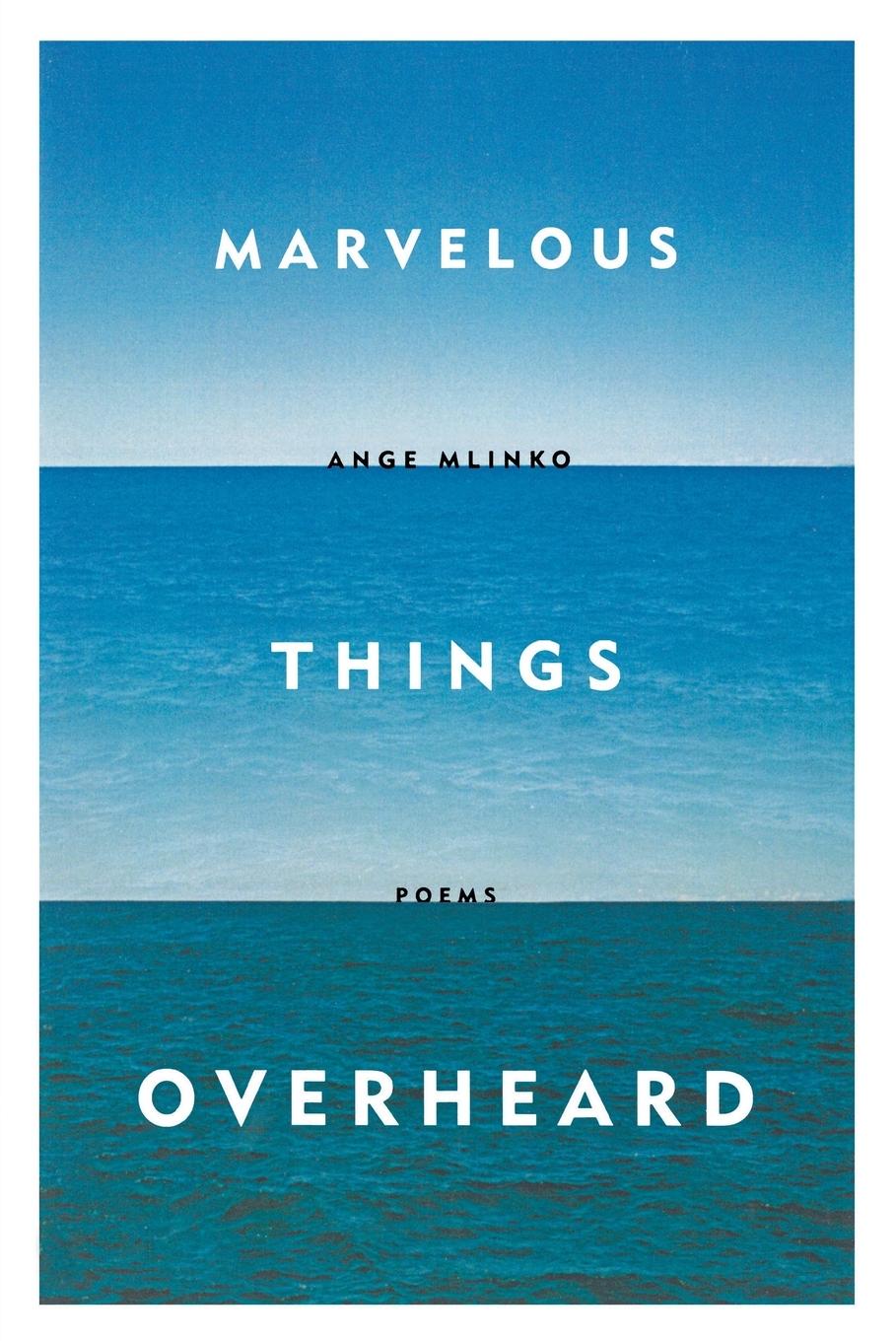 Vorderes Coverbild Marvelous Things Overheard
