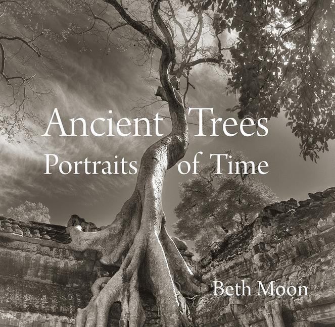 Vorderes Coverbild Ancient Trees