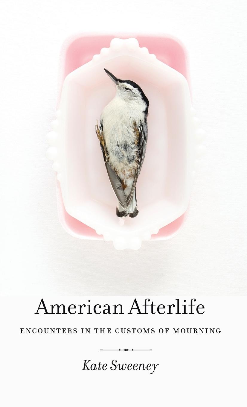 Vorderes Coverbild American Afterlife