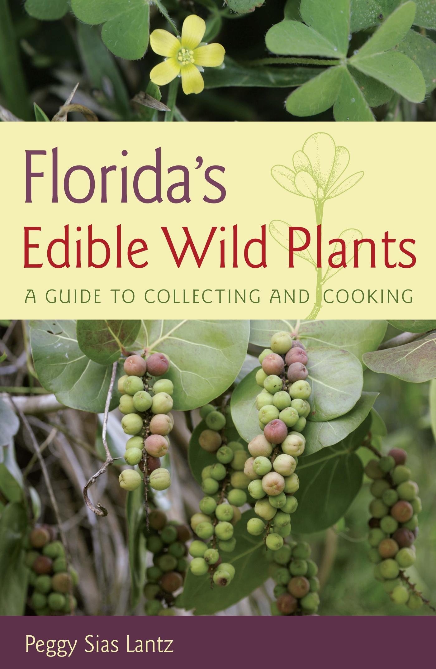 Vorderes Coverbild Florida's Edible Wild Plants