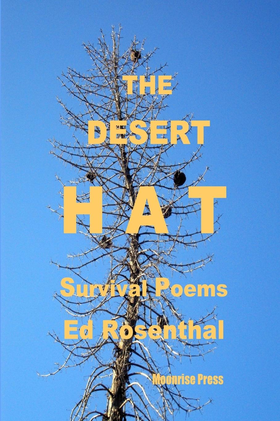 Vorderes Coverbild The Desert Hat