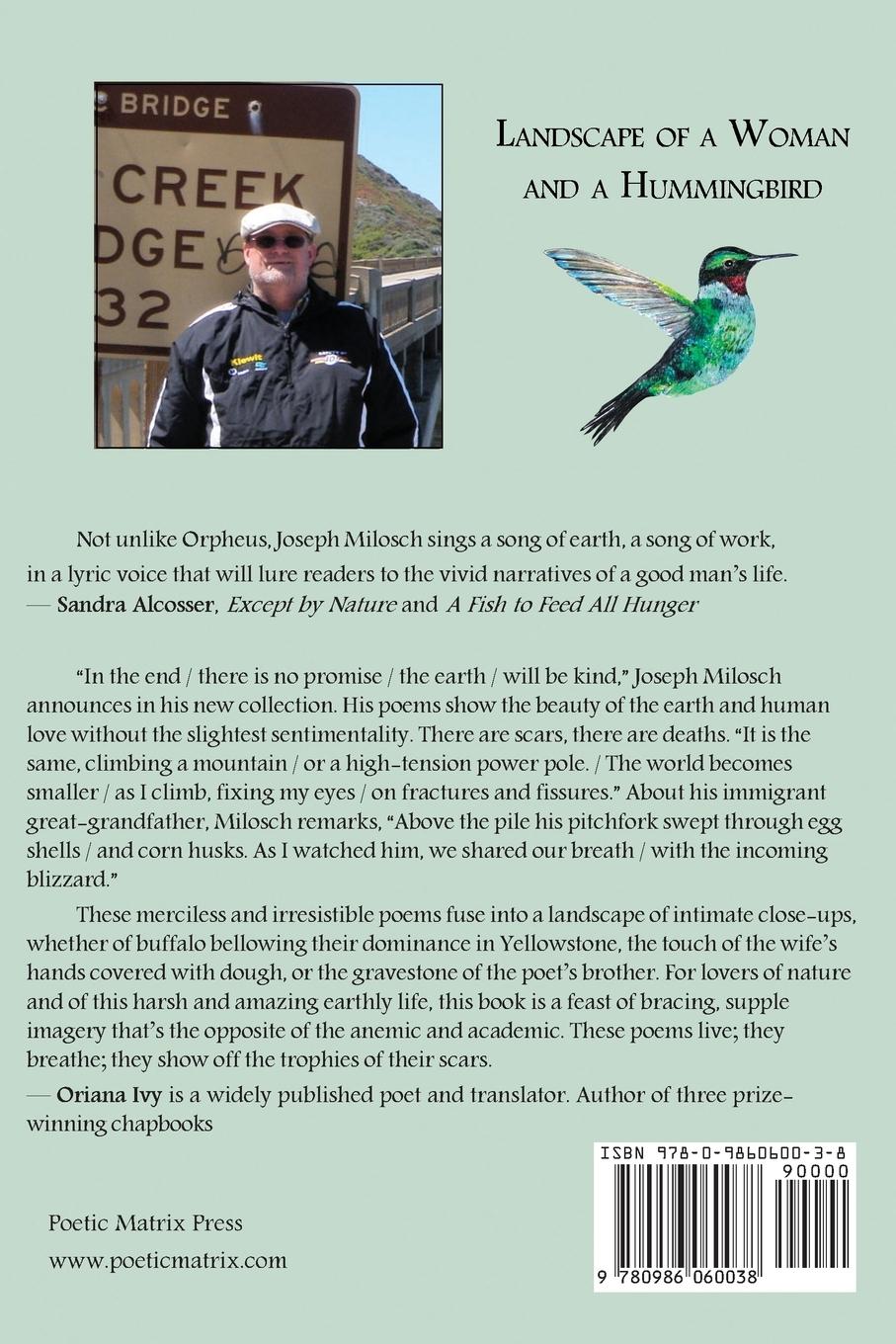 Rückseitencover Landscape of a Woman and a Hummingbird