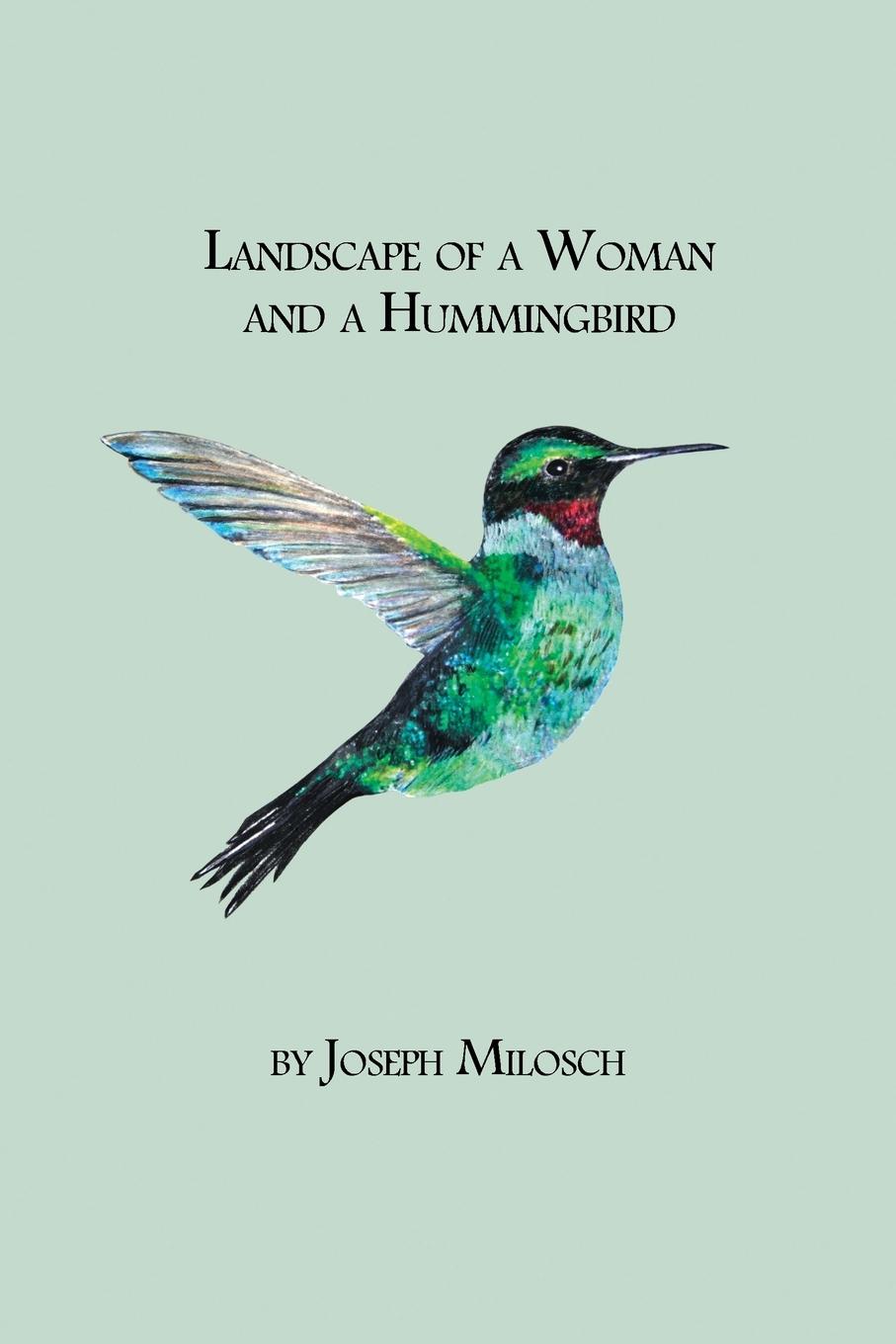 Vorderes Coverbild Landscape of a Woman and a Hummingbird