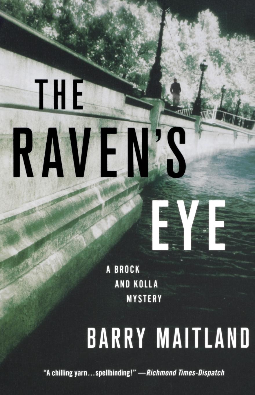 Vorderes Coverbild RAVEN'S EYE