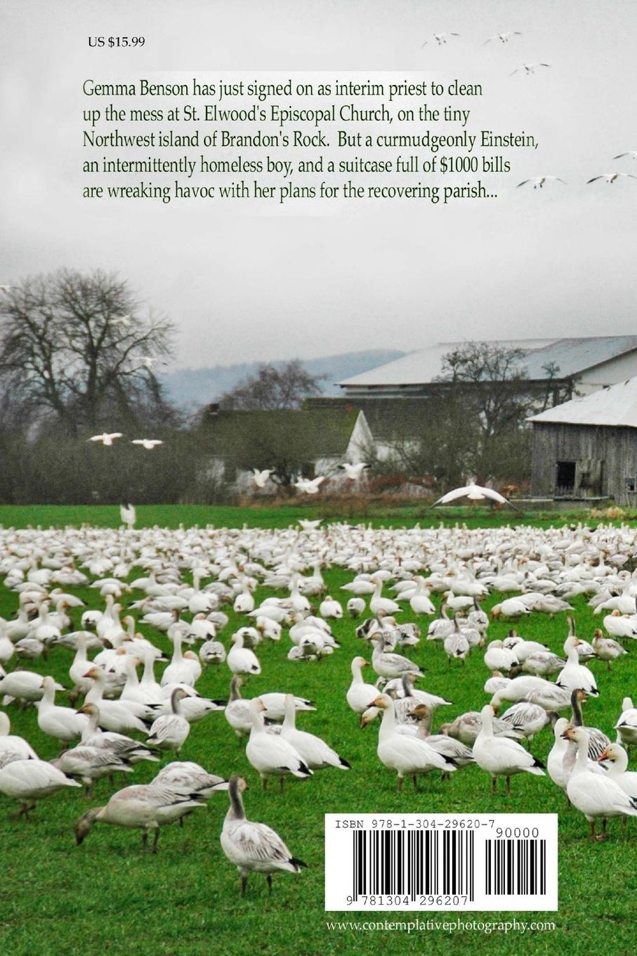 Rückseitencover Return of the Snow Goose