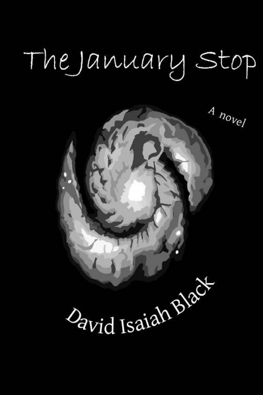 Vorderes Coverbild The January Stop