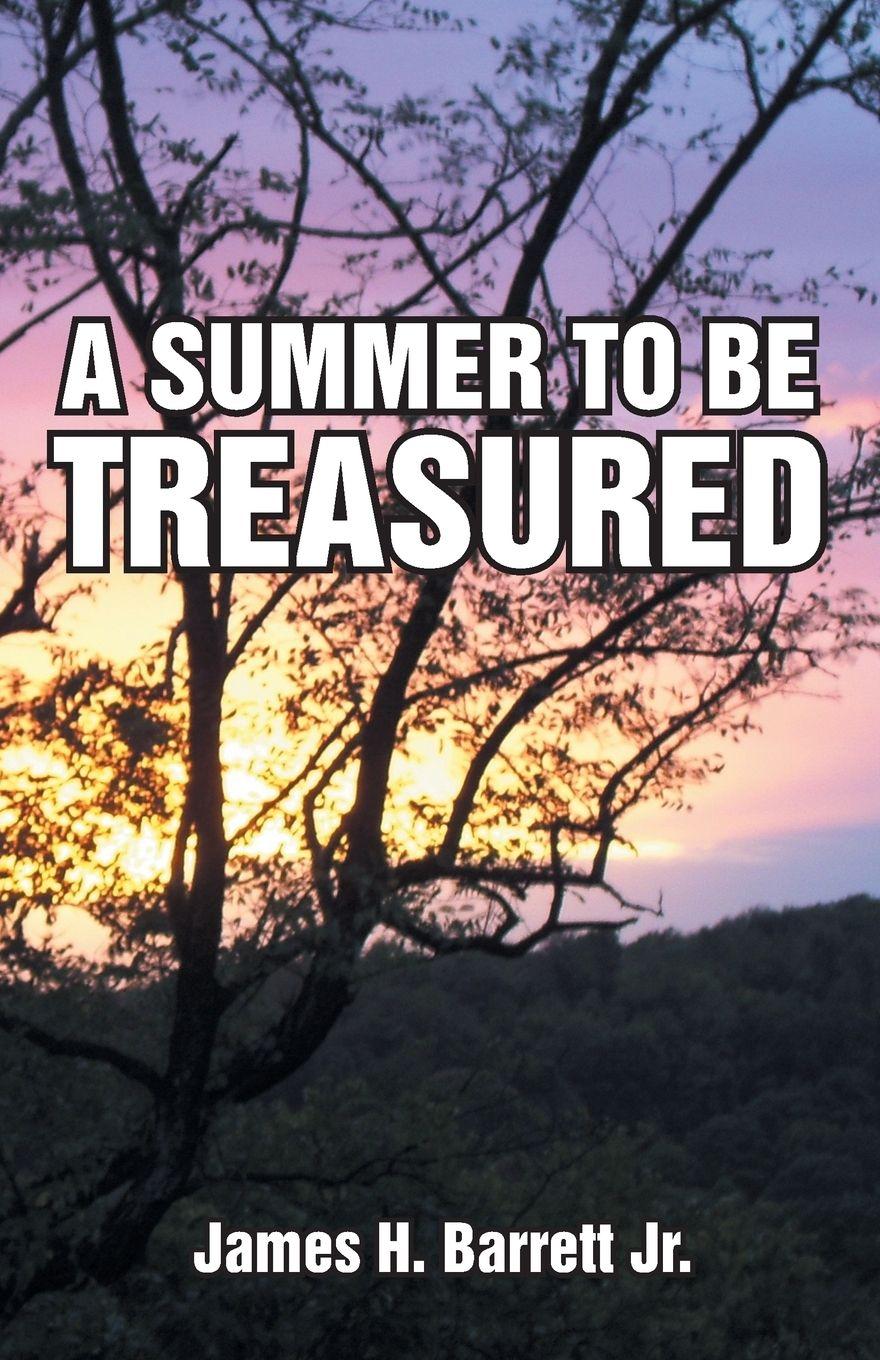 Vorderes Coverbild A Summer to Be Treasured