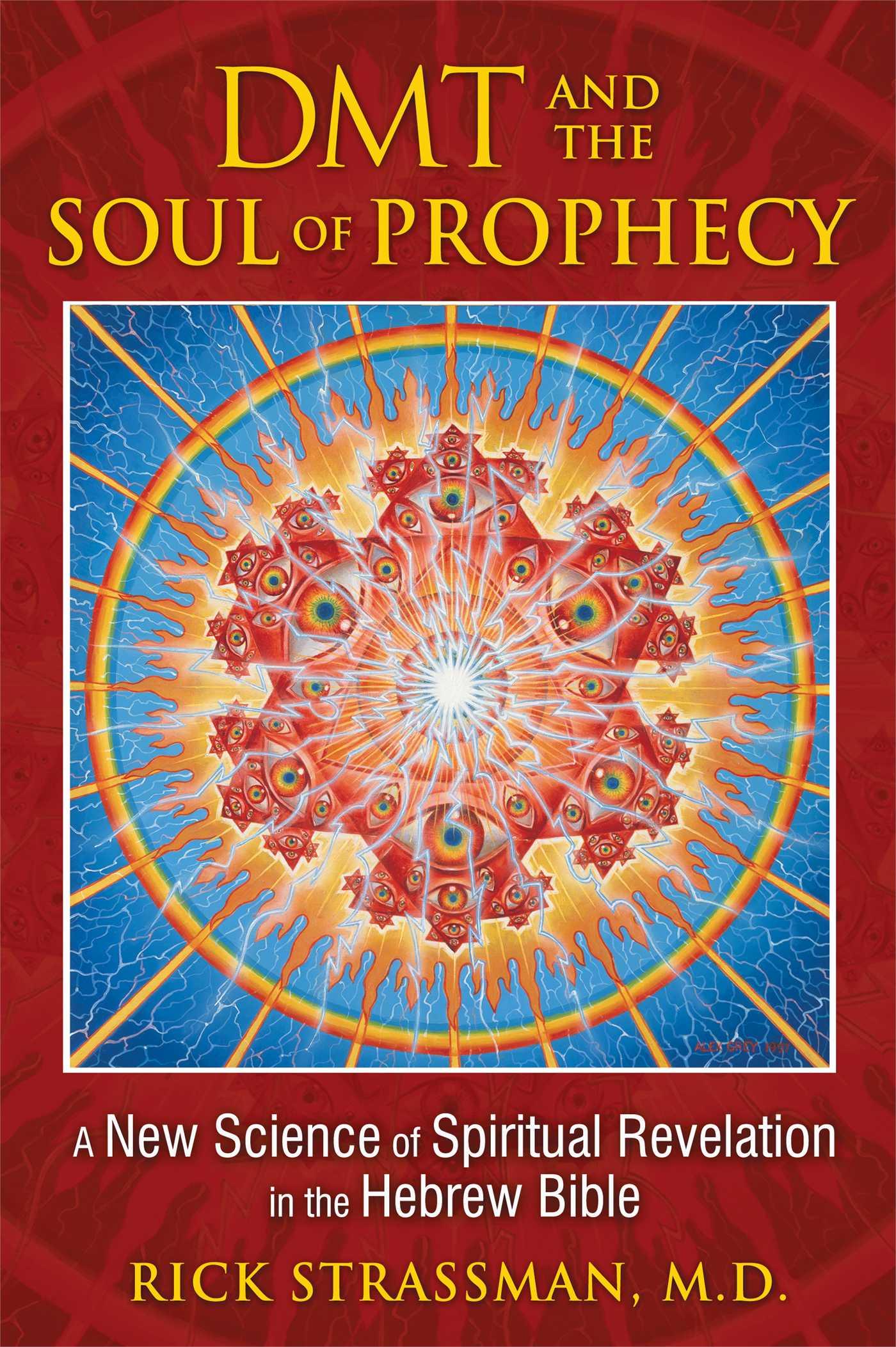 Vorderes Coverbild DMT and the Soul of Prophecy