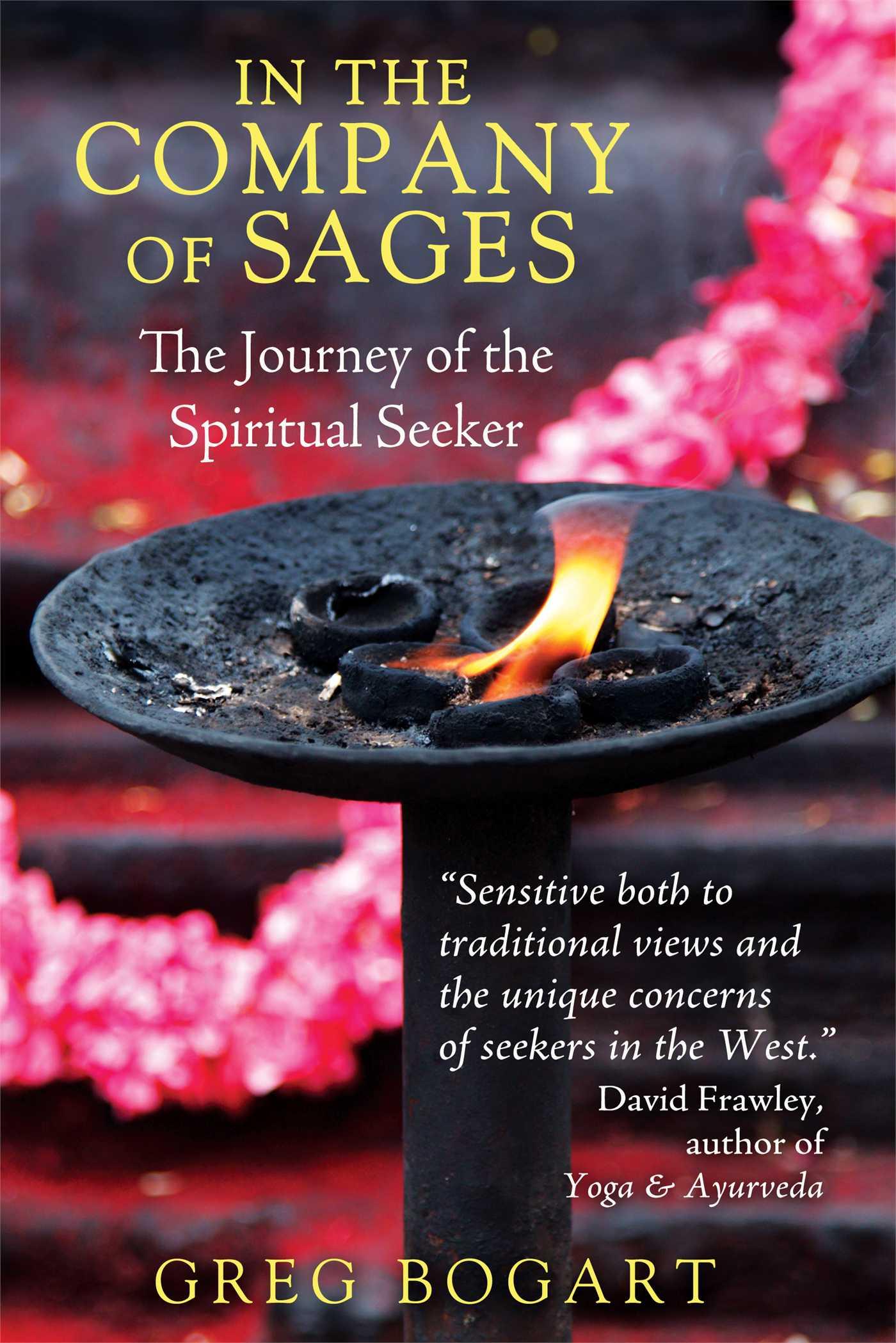 Vorderes Coverbild In the Company of Sages: The Journey of the Spiritual Seeker