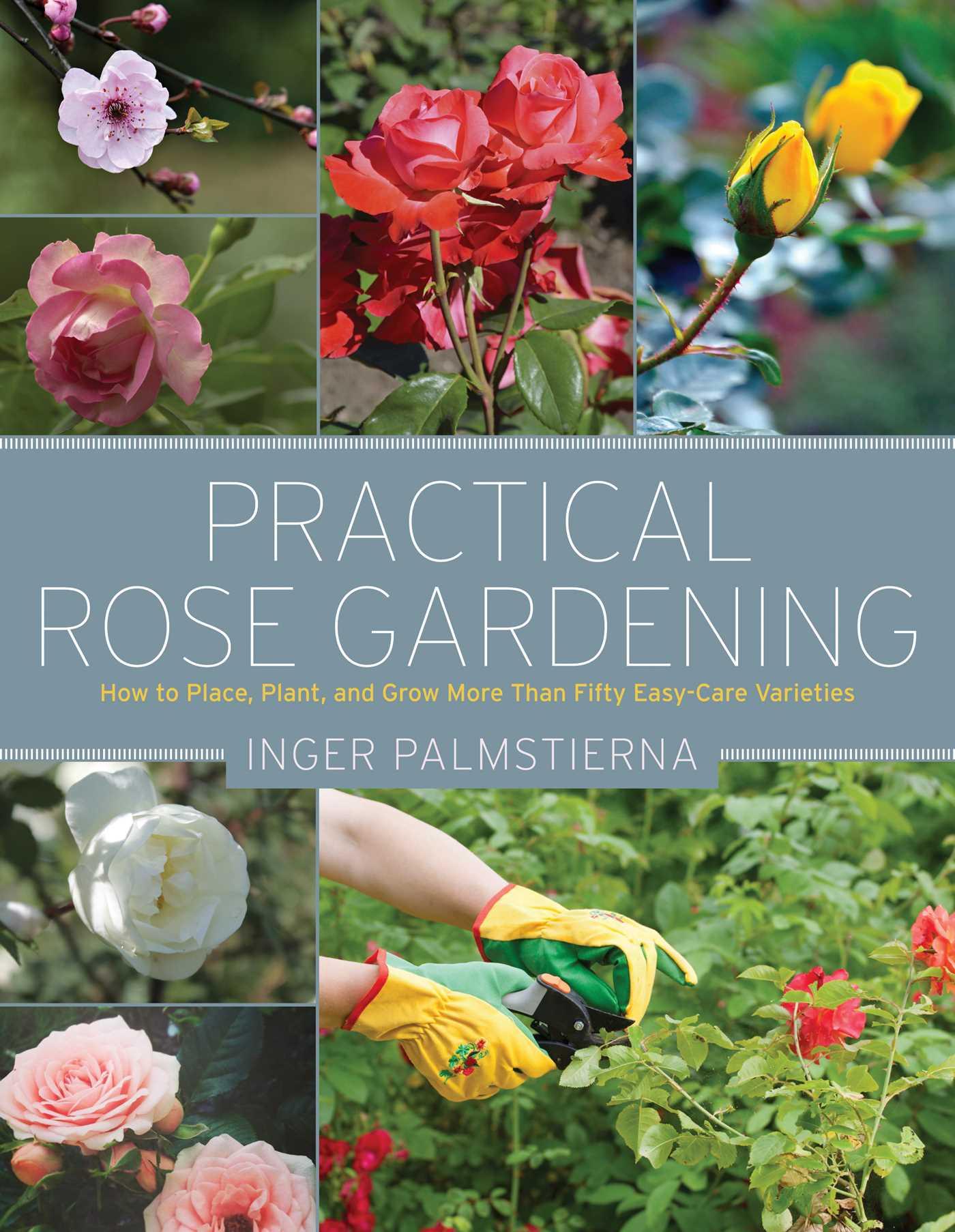 Vorderes Coverbild Practical Rose Gardening