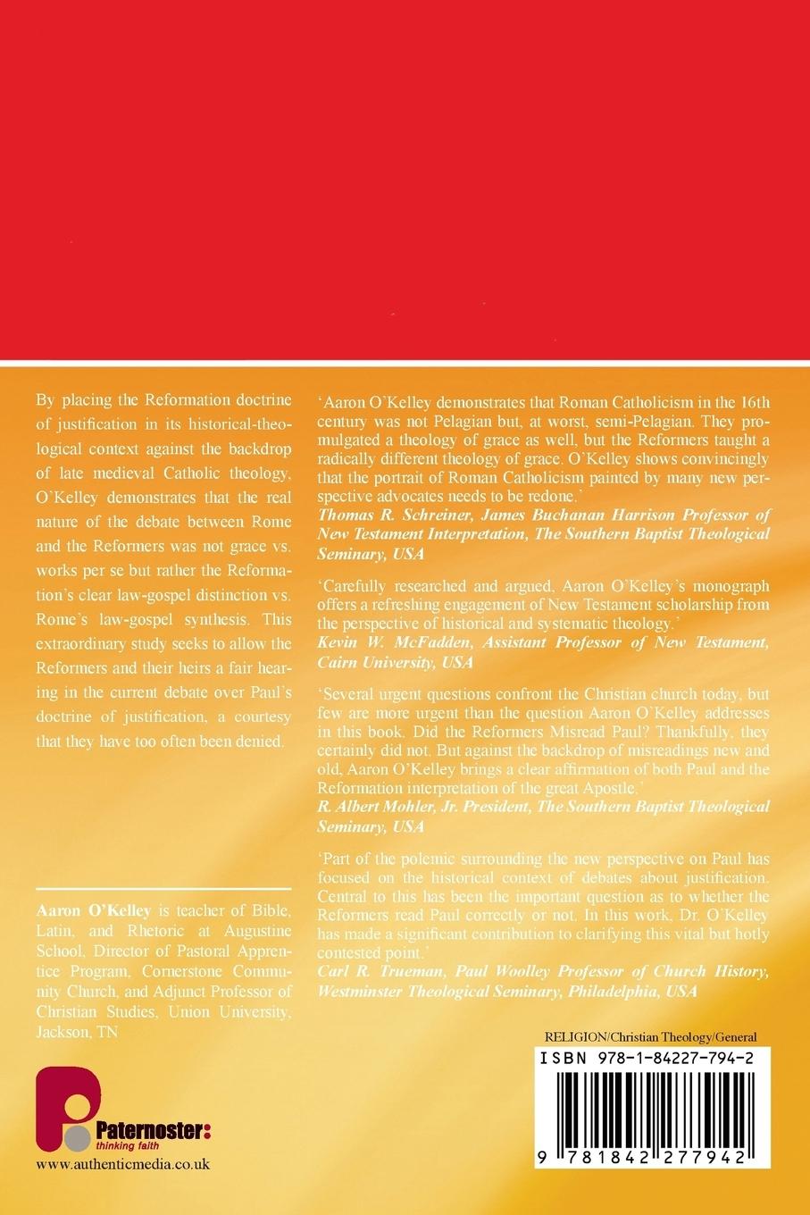 Rückseitencover Did the Reformers Misread Paul?