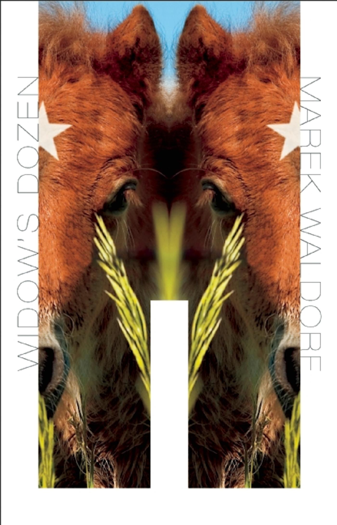 Vorderes Coverbild Widow's Dozen