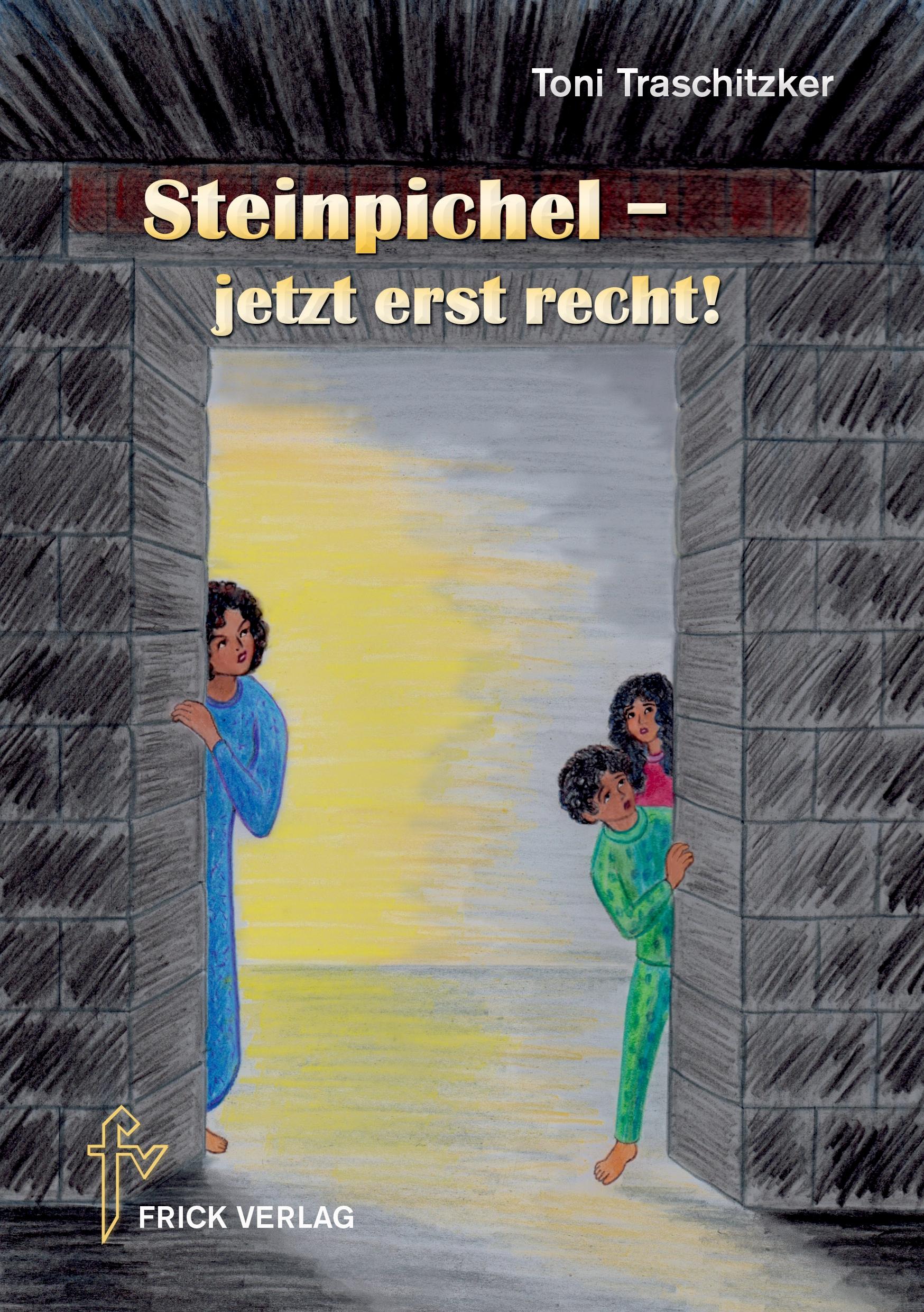 Vorderes Coverbild Steinpichel - jetzt erst recht!