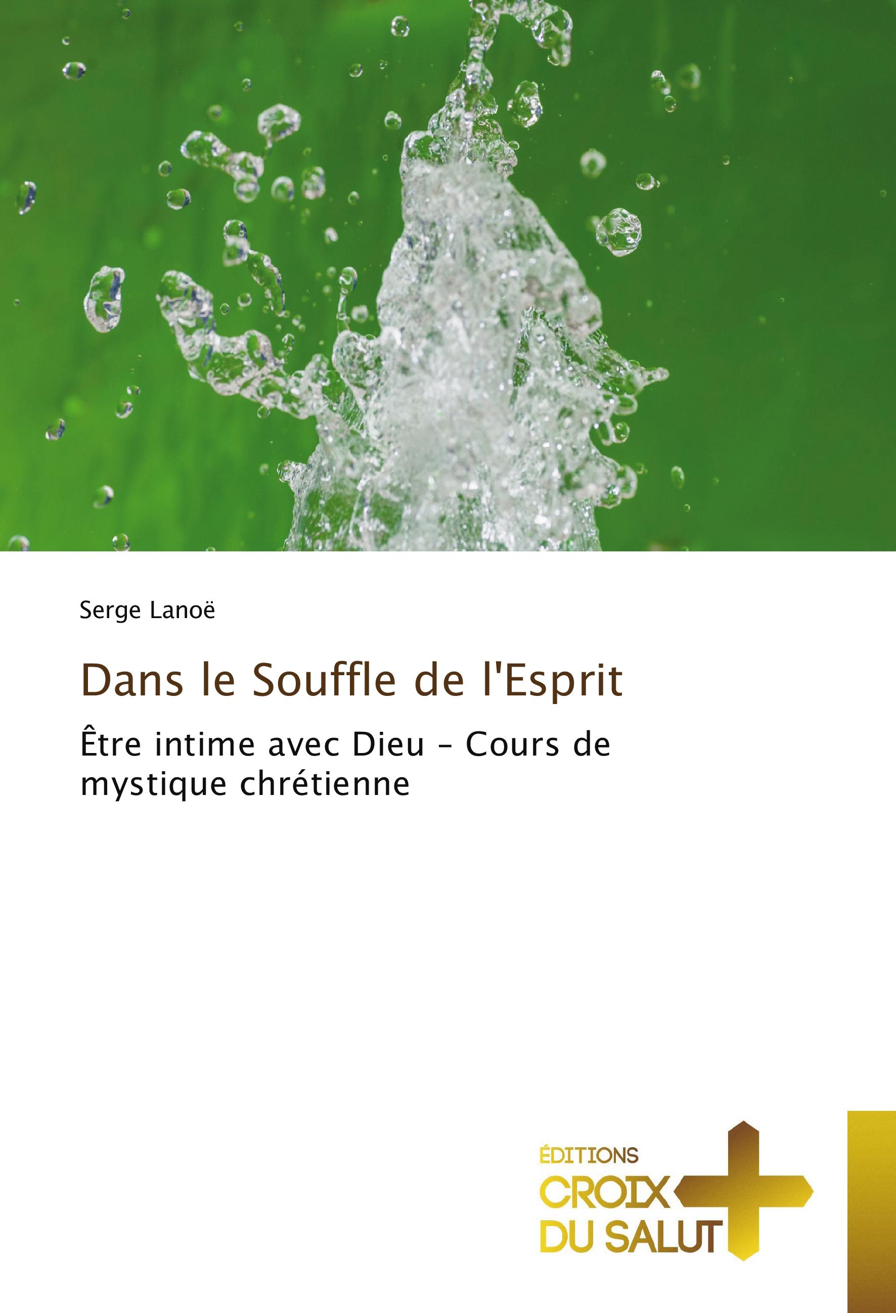 Vorderes Coverbild Dans le Souffle de l'Esprit