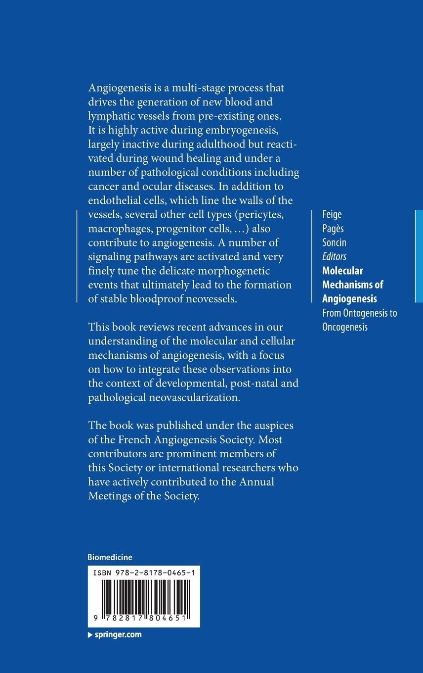 Rückseitencover Molecular Mechanisms of Angiogenesis