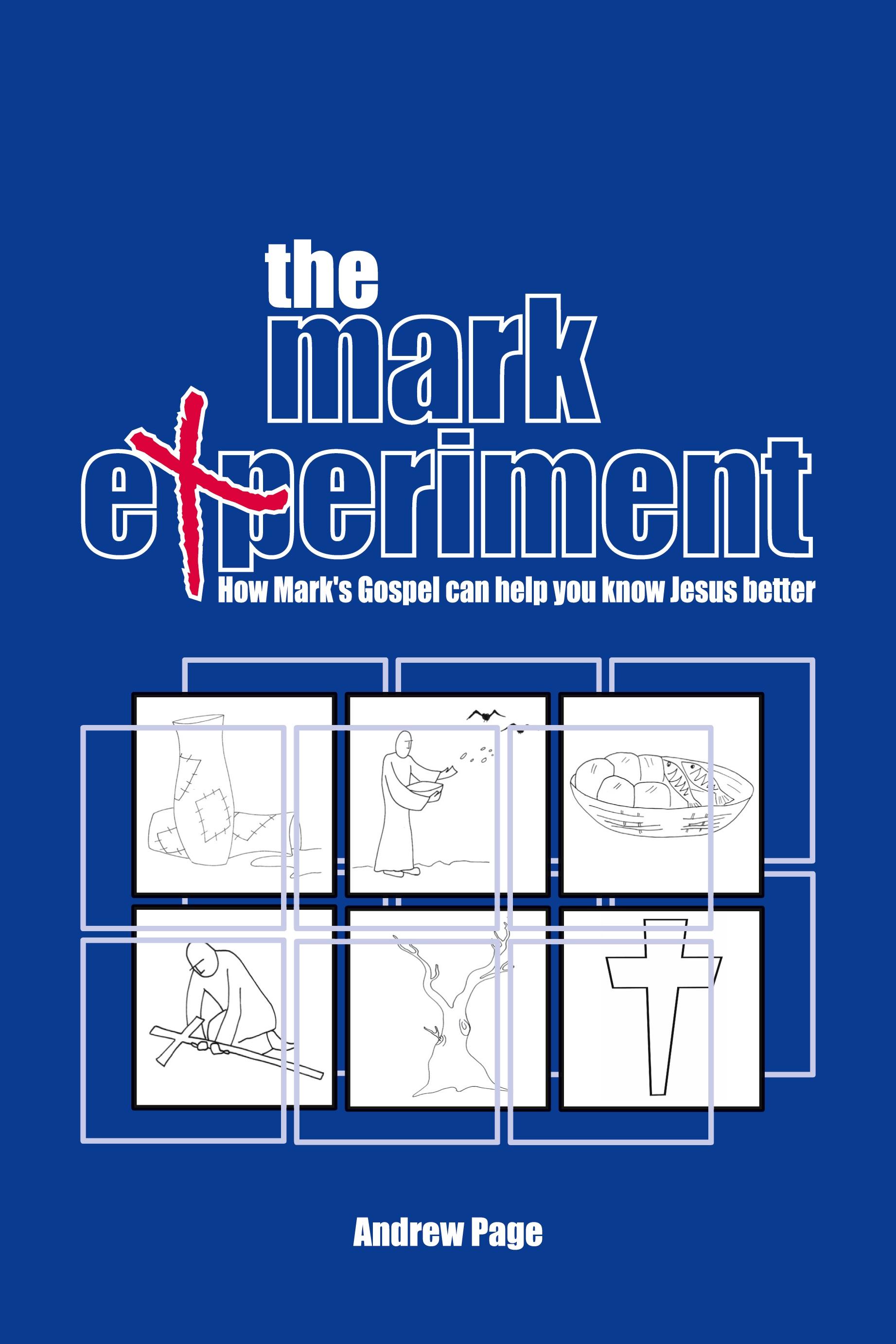 Vorderes Coverbild The Mark Experiment