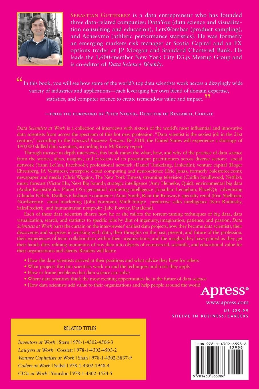 Rückseitencover Data Scientists at Work