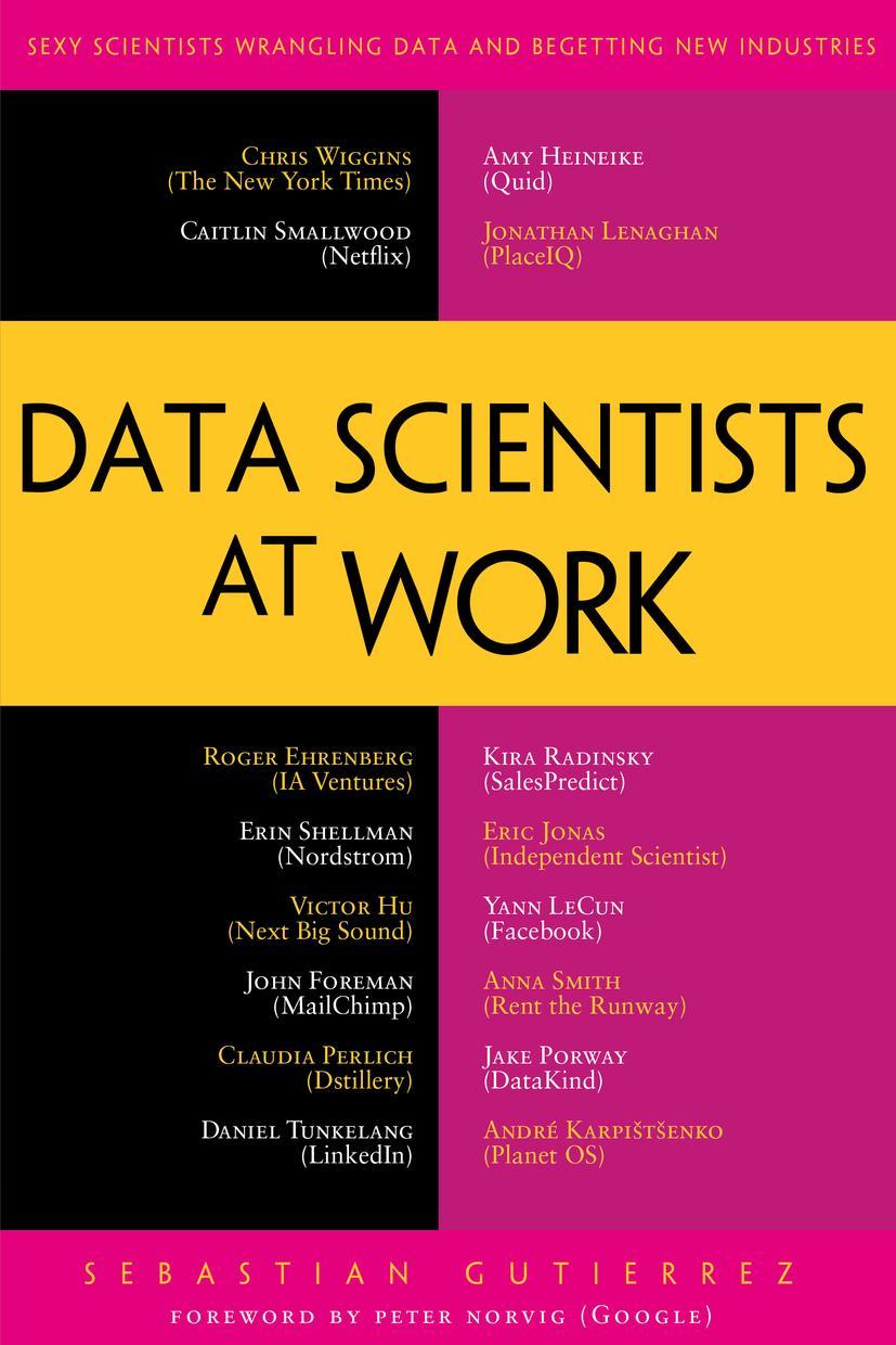 Vorderes Coverbild Data Scientists at Work