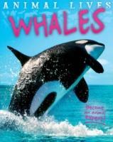 Vorderes Coverbild Animal Lives: Whales