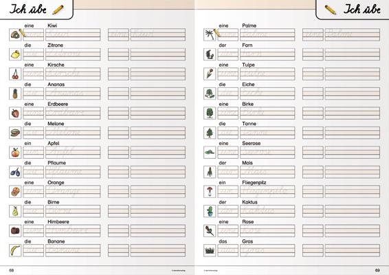 Beispielinhalt (Bild) Ich kann die Schreibschrift in SAS