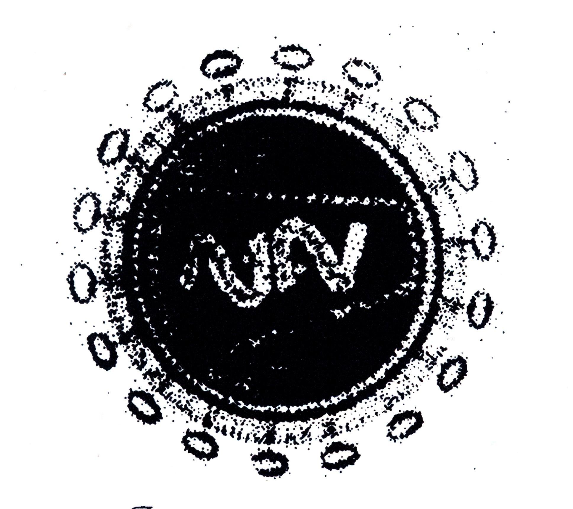 Beispielinhalt (Bild) Der Mann, der AIDS erschuf