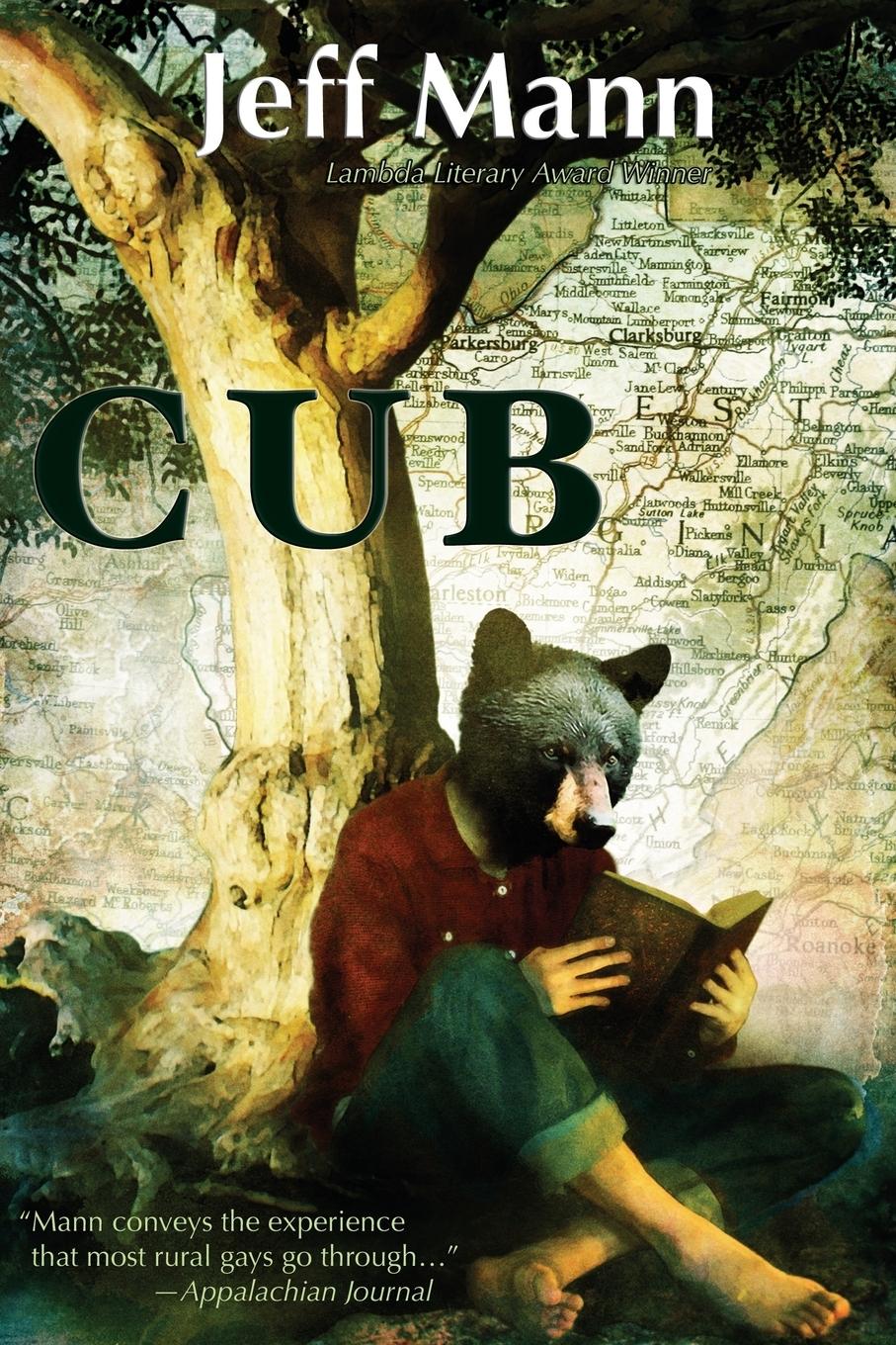Vorderes Coverbild Cub
