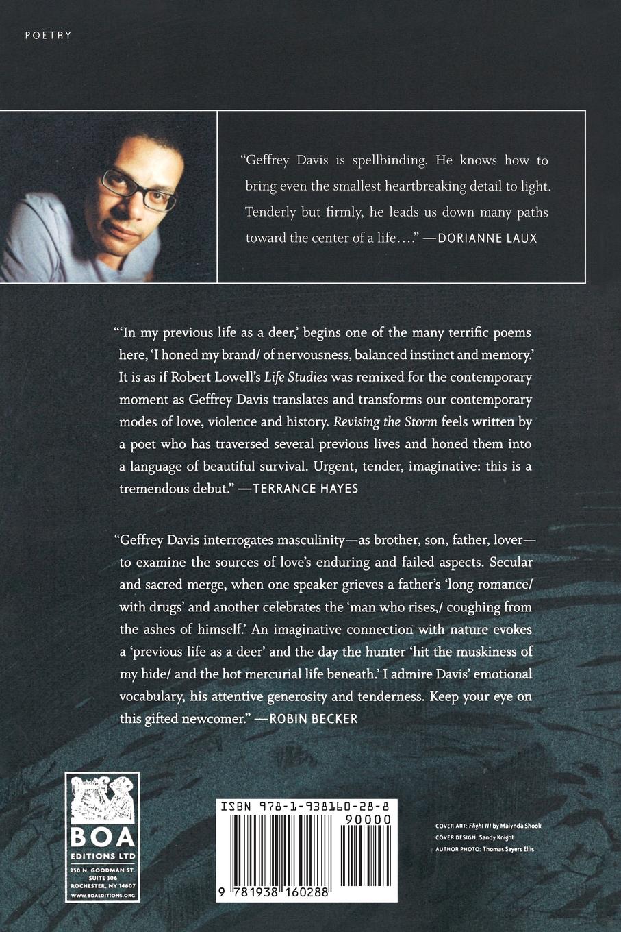 Rückseitencover Revising the Storm