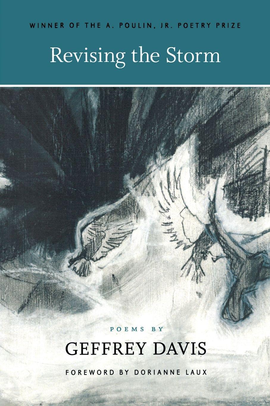 Vorderes Coverbild Revising the Storm